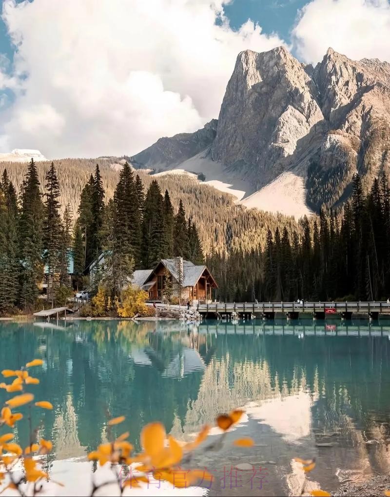 2026美加墨世界杯热门球队哪个平台好